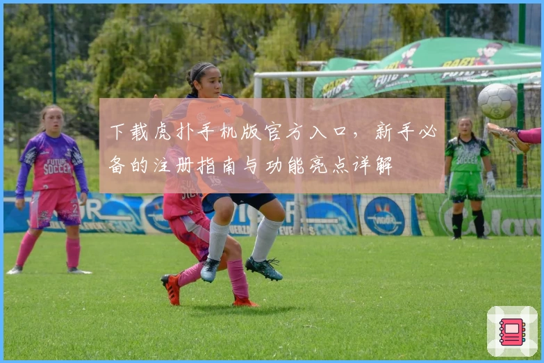 下载虎扑手机版官方入口,新手必备的注册指南与功能亮点详解