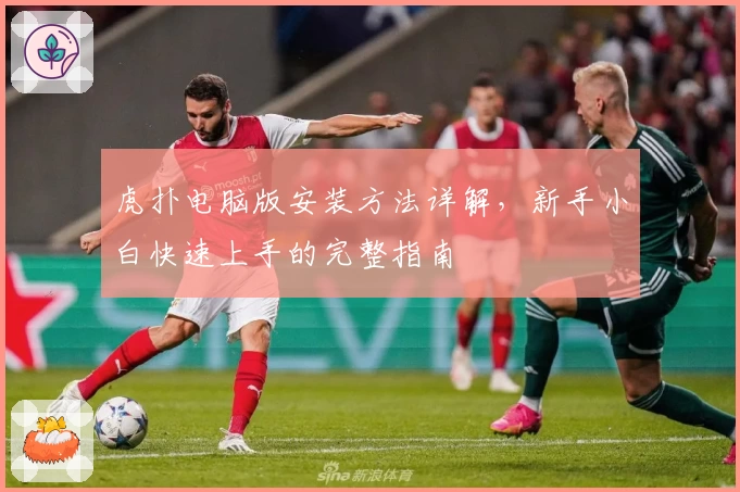 虎扑电脑版安装方法详解，新手小白快速上手的完整指南